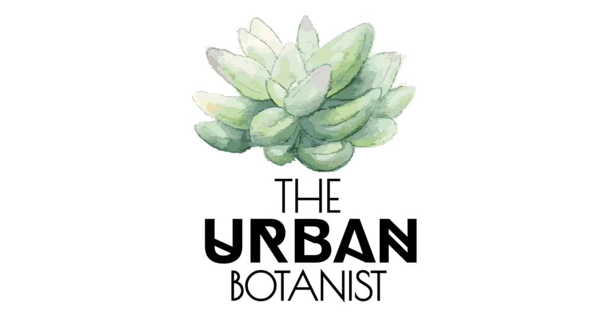 The Urban Botanist