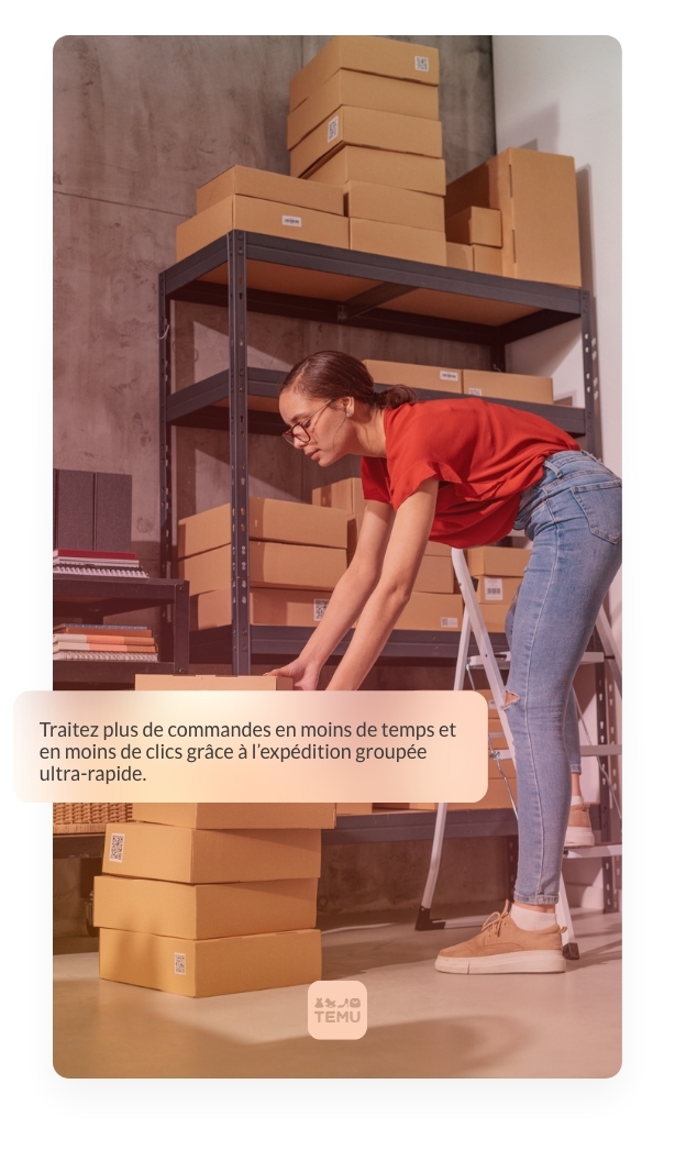 FR- temu-bulk-shipping-orders