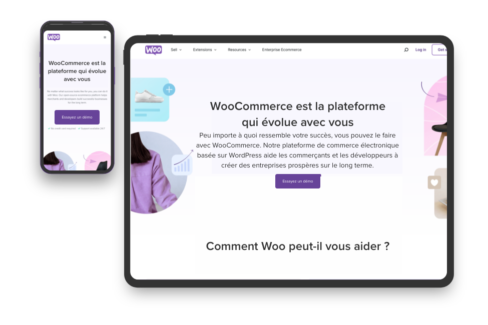 plugin-dexpedition-woocommerce (1)