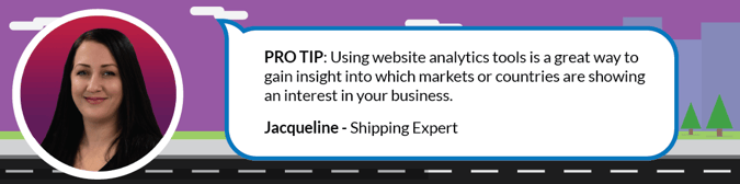 Using Website Analytics is a great way to gain insight