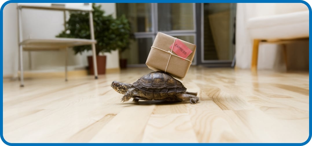 Cheap Shipping Secrets Every Business Should Know